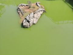 -南昌动物园