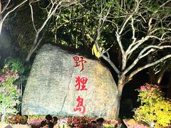 -野狸岛