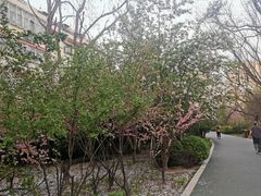 -迎泽公园