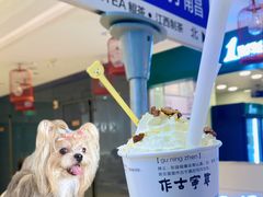 -KUNCHA鲲茶·江西制茶(铜锣湾店)