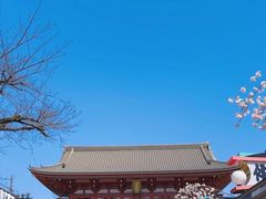 -浅草寺