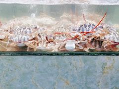 -聚鲜阁海鲜美食城(香水湾店)