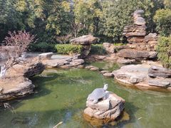 -木兰水镇旅游景区