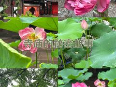 -成都市文殊院