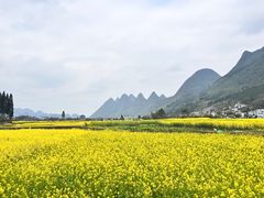 -万峰林风景区