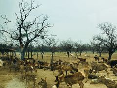 -西安秦岭野生动物园