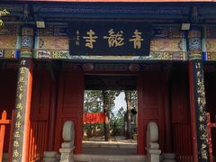 -西昌邛海湿地