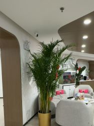 -丰联丽格医疗美容·联合丽格眼整形中心