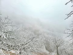 -终南山国家森林公园