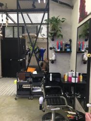 -SALON V