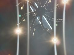 -农家乐·福建土菜(金榕北路店)