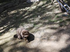 -青藏高原野生动物园