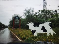 -君乐宝优致牧场