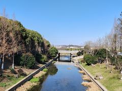 -羊山湖公园