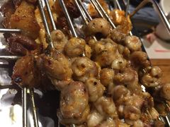 -鼎原力量东北吊炉烧烤(临河街店)