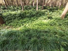 -上海怡沁园度假酒店