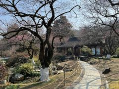 -杭州植物园