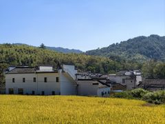 -塔川景区