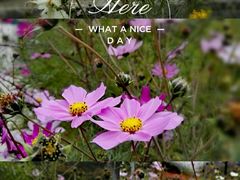 -叠溪松坪沟景区