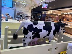 -红星前进面包牛奶公司(君太店)