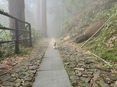 -东天目山风景区