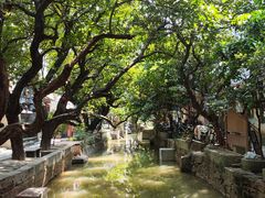 -小洲村