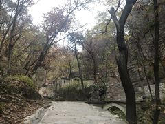 -北京上方山国家森林公园