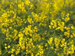 -中国天府农业博览园