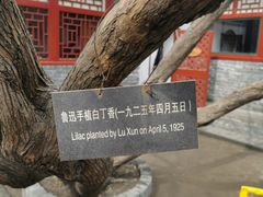 -北京鲁迅博物馆(北京新文化运动纪念馆鲁博馆区)