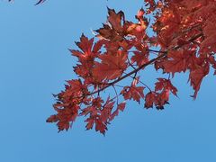 -红石沟生态休闲农场