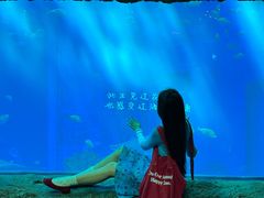 -南昌融创海世界