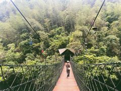 -石台牯牛降景区