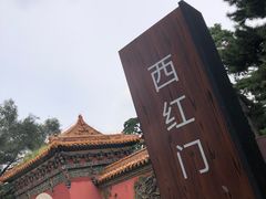 -北陵公园