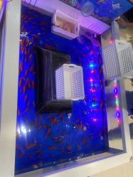 点击看大图 -孩子王童乐园(武汉永旺店)