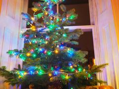 圣诞树-大象咖啡馆