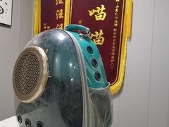-半岛宠物医院24小时(科华中路店)