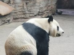 -石家庄市动物园