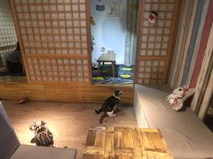 -小时光咖啡馆(开森度假森林店)