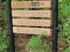 -上海共青森林公园