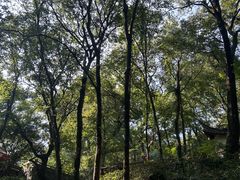 -宁波市保国寺古建筑博物馆