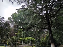 -西安市纺织公园