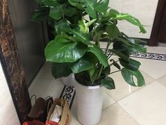 -秦美花卉(天朗·莱茵小城2期店)