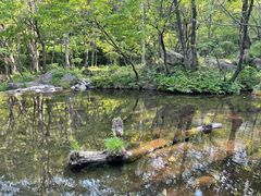 -玉渡山自然风景区