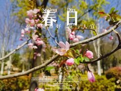 -合肥野生动物园