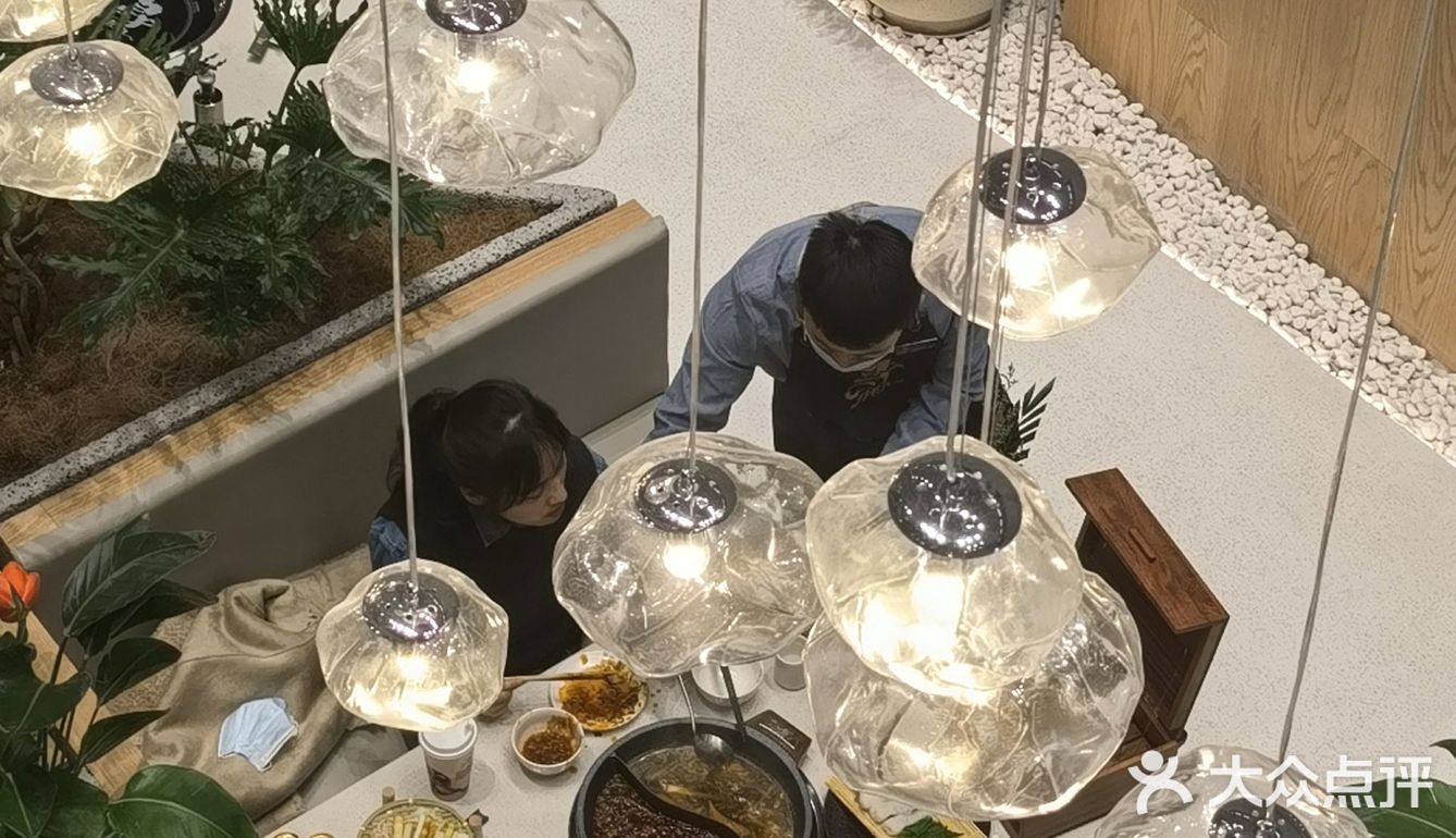 杭州美食新体验，在森林中吃火锅🌵