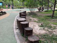 -莲花池公园