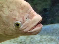 -泉城欧乐堡海洋极地世界