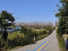 -上海长兴岛郊野公园