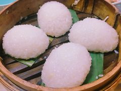 茨毛圆子-双塔老饭店