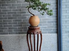 -龙悦湾酒家·八阵鱼生·渔人码头店
